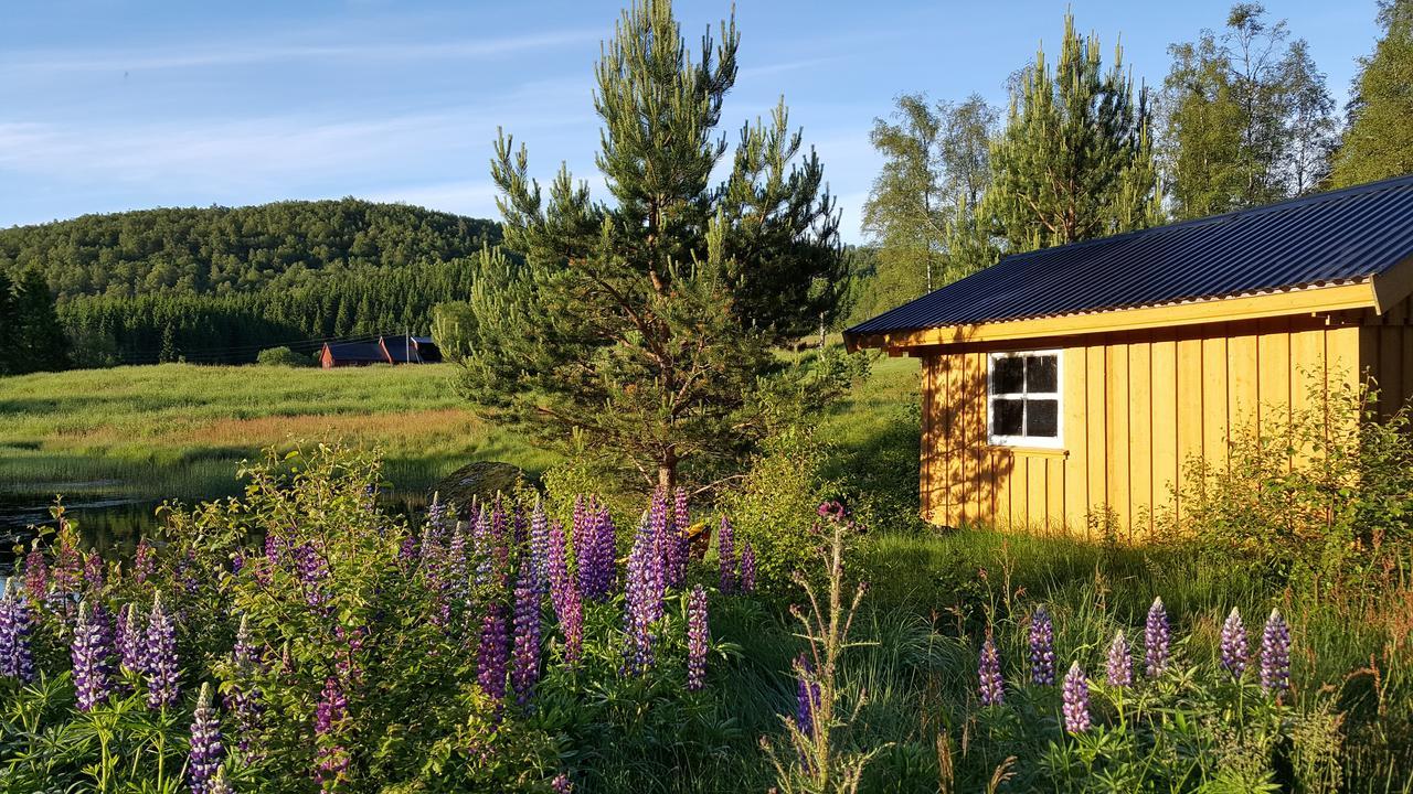 Heddan Gjestegard Tingvatn Exterior photo